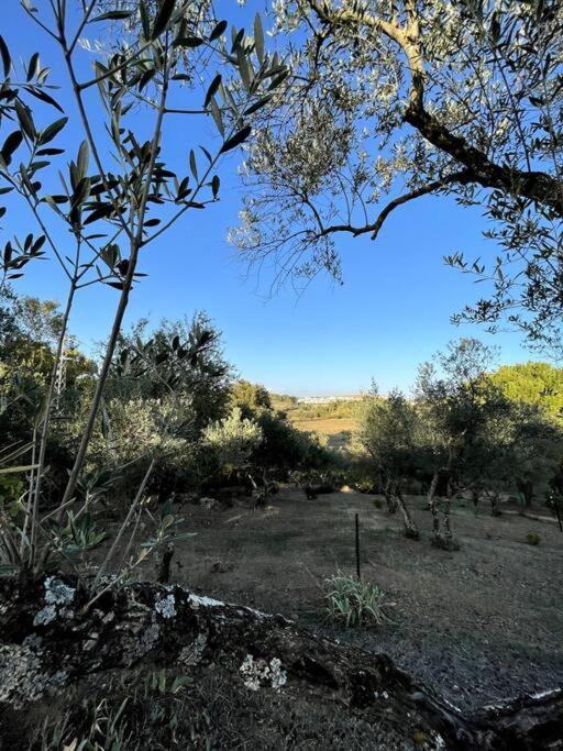 Villa Maria, Casa Rural En Cazalla De La Sierra. Luaran gambar